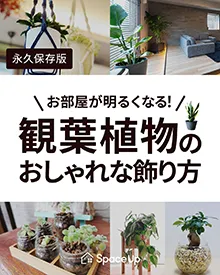 Instagram お部屋が明るくなる！観葉植物のおしゃれな飾り方